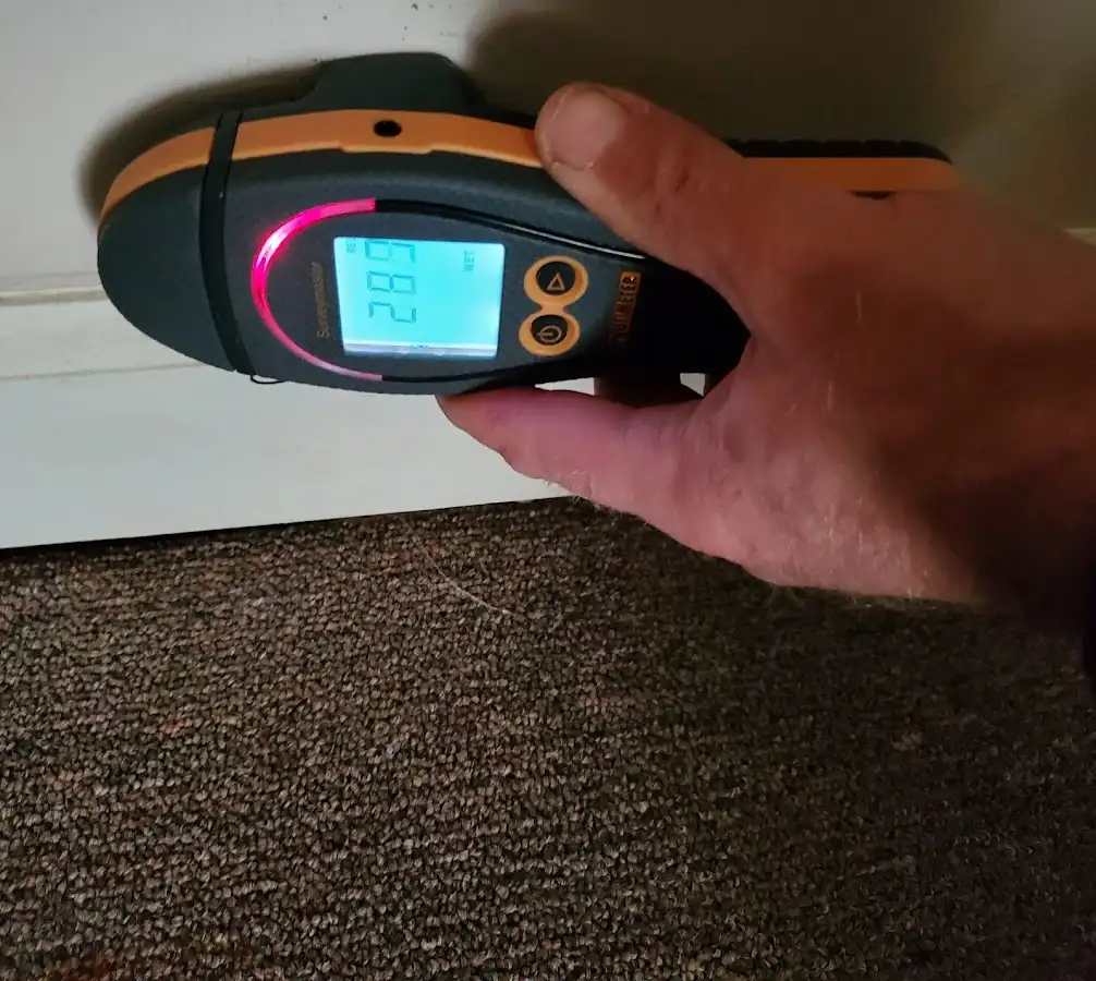 Moisture detection at baseboard during Burst Pipe Cleanup in Dallas